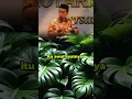 Download Lagu #ceramah #ustadzadihidayat #dakwah #uah #kajian #dakwahislam #motivasi #motivasihidup