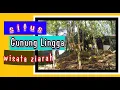 Download Lagu Situs Gunung Lingga Sumedang.#gununglingga