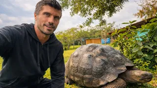 Don’t Go to the Galapagos ! (Too Expensive)