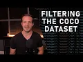 How to Filter the COCO Dataset