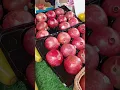 red round fruits what is this