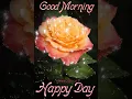 Flower gif