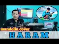 Download Lagu HARAM - RHOMA IRAMA - MANDOLIN COVER
