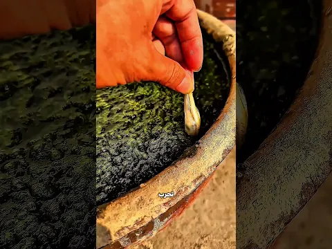 كائن غامض شد السمكة لجوه الأصيص… والنهاية صادمة! 😳🐍
