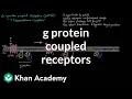 G Protein Coupled Receptors Nervous system physiology NCLEX-RN Khan Academy