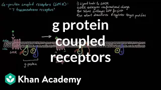 g protein coupled receptors nervous system physiology nclex rn khan academy