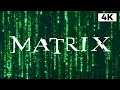 Lagu Matrix Rain Code - Longest Baсkground Video 4K