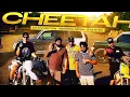 CHEETAH (Official Music Video) | Chani Nattan | Inderpal Moga | Byg Byrd | New Punjabi Song2026