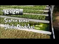 Cara semai skala produksi paling cepat dan efisien | Hidroponik Kudus
