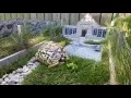 Video di Minature Jurassic Park for my Tortoise