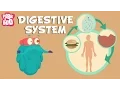 Download Lagu Digestive System | The Dr. Binocs Show | Learn Videos For Kids