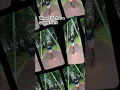 Download Lagu When Life has a SoundTrack #minivlog #lifestyle #viral #music #youtubeshorts #nature