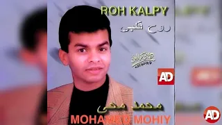 الصبر جميل   محمد محى دندنها