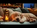 Lagu 12 Hours Dog Soothing Music🎵Dog Healing Music for Dogs Deep Sleep🐶 🎵Chilling Music for Dog💖⭐No Ads