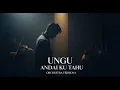 Lagu Andai Ku Tahu – Ungu | Cover Orchestra | Versi Orchestra Penuh Makna