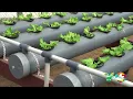Lagu Instructie video hydrocultuur systemen