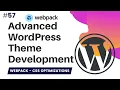 CSS Optimization Webpack WordPress Theme OptimizeCssAssetsPlugin UglifyJsPlugin css-nano