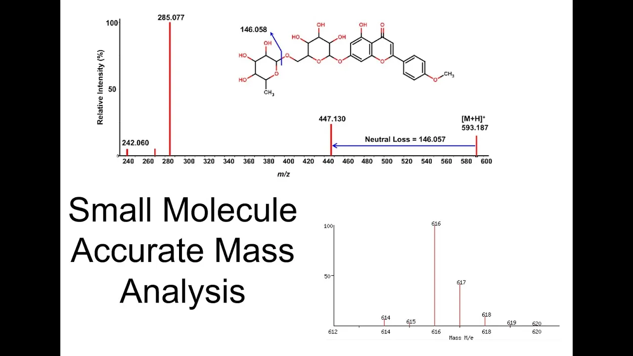 13 Small Molecule Accurate Mass Analysis