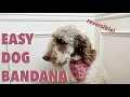 Easy Dog Bandana Pattern with Sewing Instructions Tutorial DIY DOG COLLAR BANDANA