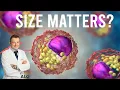 LDL Particle Size - Does Size Matter Cardiologist Explains
