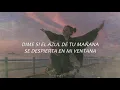 Vale la pena  - Juan Luis Guerra // Letra