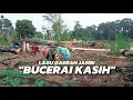 Download Lagu BUCERAI KASIH LAGU DAERAH JAMBI TERPOPULER • Dokumentasi Menuggal padi