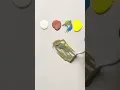 How to make mushroom color