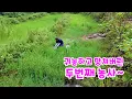 Download Lagu 귀농하고 망쳐버린 두번째 농사~