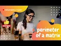 Perimeter of a Matrix IDP Set 1 Nxtwave ccbp IDP Preparation Series Python Coding