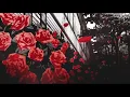 Download Lagu Playboi Carti - 9PM in UK - s l o w e d \u0026 r e v e r b