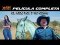 The Son of the 7 of Cups Full Movie Mexican Cinema