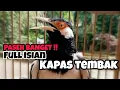 Download Lagu MASTERAN JALAK SUREN GACOR FULL ISIAN KAPAS TEMBAK ‼️