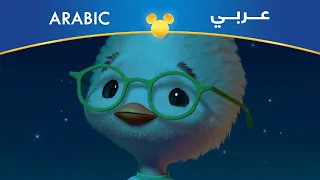 فروج القلة   بحبك دايما  على طول   مصري دندنها