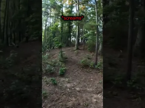 She should've turned back..