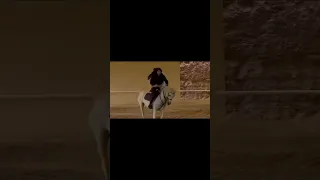 يا قوم قومة جمل واطيح طيحة حصان فلاح المسردي فيحان المسردي تصميم شيلات  يا قوم قومة جمل واطيح طيحة حصان فلاح المسردي فيحان المسردي تصميم شيلات