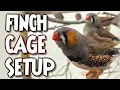 Download Lagu PERAWATAN FINCH: Episode Satu, Perumahan \u0026 Pengayaan.
