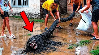 Nhiều Gia Đình Tìm Thấy Sinh Vật Lạ Trong Nhà Sau Mùa Mưa