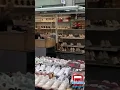 Robin shoes van de markten nieuwegein #utrecht