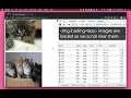 Native image lazy-loading with the loading attribute