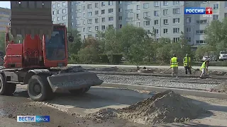 Почти 900 кустов кизильника высадят вдоль дороги по улице Крупской