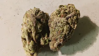 Weed Review Double Stuff Oreoz