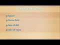 CSS 19 Pseudo Class