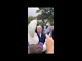 Easter Bunny Interrupts Biden s White House Easter Egg Roll