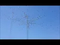 As Andorinhas  - Trio Parada Dura