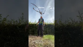 Shut Up Chicken Dance Viral Trending Shorts Comedy Funny Song Tiktok 