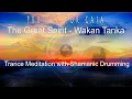 Download Lagu Project For Gaia - The Great Spirit (Wakan Tanka) Trance Dance to connect with the GREAT SPIRIT