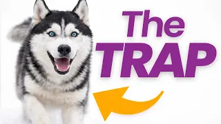 Why People Regret Getting Their Dog
