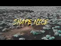 SHAPE NICE - Vybz Kartel & Afro B ft Shady Squad - Dance Video