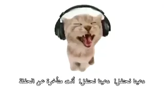              مترجمه           دندنها