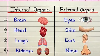 Internal and external organs name | Internal organs name | External organs name | Body parts name 